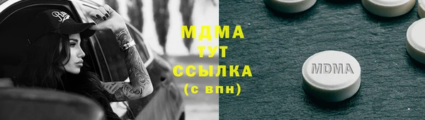 гашик Алексин