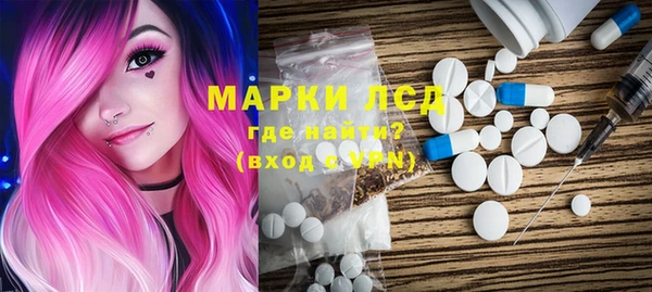 гашик Алексин