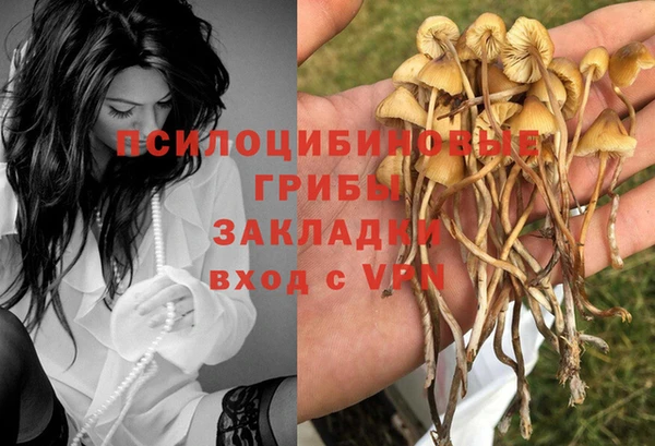 твердый Алексеевка