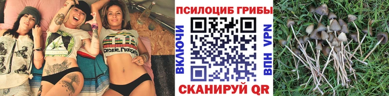 Псилоцибиновые грибы мицелий где купить наркоту Туапсе