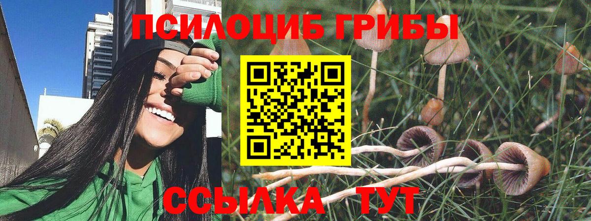 Галлюциногенные грибы прущие грибы Туапсе