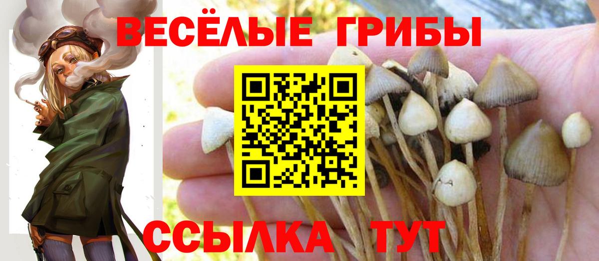 купить закладку  Псилоцибиновые грибы мухоморы  Вход с VPN  Туапсе 